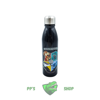 Botella Harry Potter de 600ml